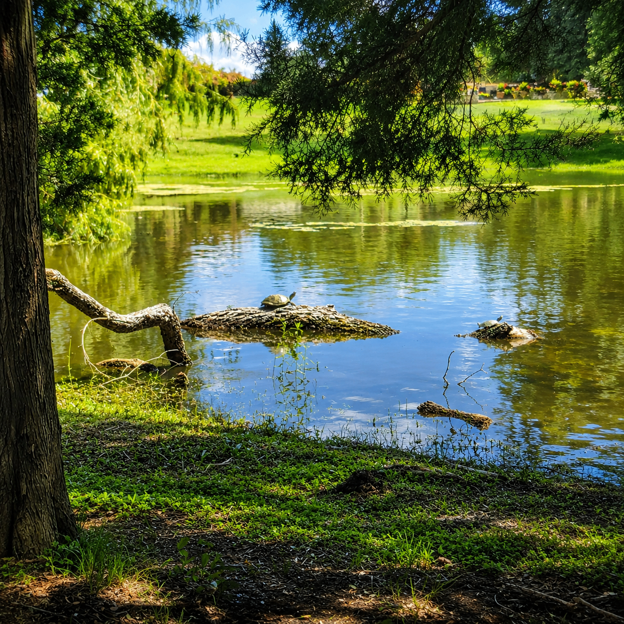 Peaceful pond and lake views on the Grand Pleasantville grounds